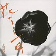 早川義夫 / 花のような一瞬