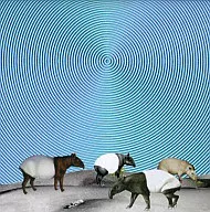 NICO Touches/オーロラ