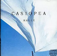 カシオペア        /HALLE