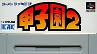 甲子園2 (SPG) (箱説なし)