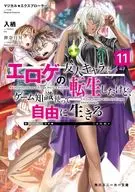 マジカル★エクスプローラー エロゲの友人キャラに転生したけど、ゲーム知識使って自由に生きる(11) / 入栖