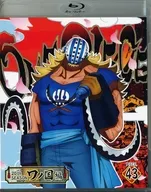 ONE PIECE ワンピース 20THシーズン ワノ国編 PIECE.43