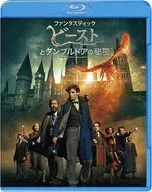 ファンタスティック・ビーストとダンブルドアの秘密 ブルーレイ＆DVDセット