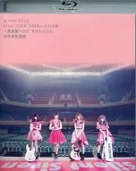 Silent Siren / Live Tour 2014→2015冬 ～武道館へ GO! サイレン GO!～ ＠日本武道館