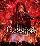 DAVID / 美しき退廃線-20240407 Akabane ReNY alpha-