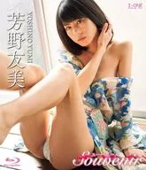芳野友美 / Souvenir BD