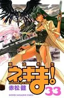 魔法先生ネギま!(33)