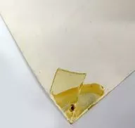 508914635_19