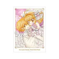 A3マット加工ポスター vol.2 七海るちあ＆堂本海斗 ver.A 「ぴちぴちピッチ」