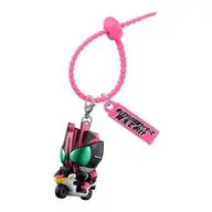 仮面ライダーディケイド 「仮面ライダー カラフルマルチチャーム」