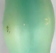 602002276-1001_03