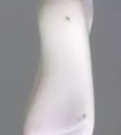 602064719-1000_1