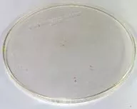 602064719-1000_2