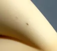 602097899-1000_2