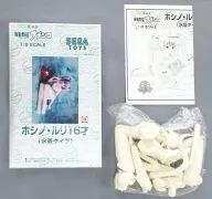 ホシノ・ルリ 16才(水着タイプ)  「機動戦艦ナデシコ -The prince of darkness-」 1/5 ガレージキット