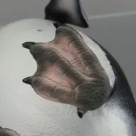 602140558_12