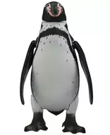 602140558_03