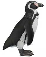602140558_06