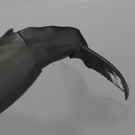 602143865_11