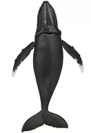 602143865_06