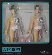人体模型 ～PORNOGRAFFITTI Model～(2体セット) 「ポルノグラフィティ」 塗装済み完成品 A!SMART限定