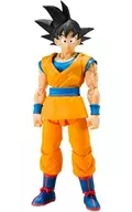 S.H.Figuarts 孫悟空-DAIMA- 「ドラゴンボールDAIMA」