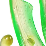 602910260_1
