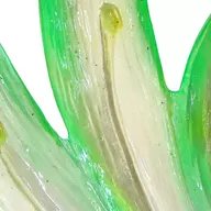 602910260_2
