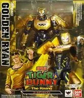 [破損品] S.H.Figuarts ゴールデンライアン 「劇場版 TIGER＆BUNNY -The Rising-」 魂ウェブ商店限定