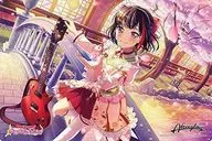 ブシロード ラバーマットコレクション Vol.641 バンドリ! ガールズバンドパーティ! 『美竹 蘭』Part.3
