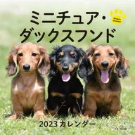 ミニチュア・ダックスフンド 2023年度カレンダー