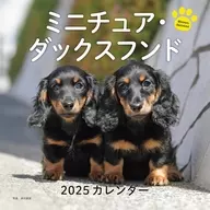 ミニチュア・ダックスフンド 2025年度カレンダー