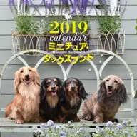 ミニチュア・ダックスフンド 2019年度大判カレンダー