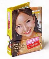 7.板野友美 ぷっちょワールド AKB48写真集