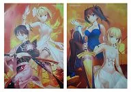 ポスター2枚セット 「TYPE-MOON Fes. -10th ANNIVERSARY EVENT- Blu-ray Disc Box 完全生産限定版」 対象店舗先着購入特典