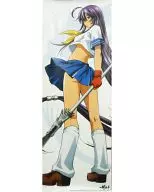 セクシースリムポスター 関羽雲長 「DVD 一騎当千Dragon Destiny 第壱巻 初回限定版」 ソフマップ予約先着特典