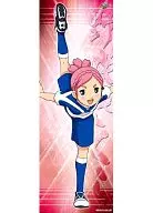 野咲さくら 「イナズマイレブンGO キャラポスコレクション7」