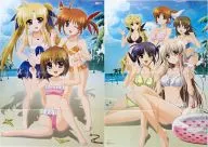 B2両面ポスター(八つ折) 魔法少女リリカルなのは The MOVIE 2nd A’s/魔法戦記リリカルなのはForce 娘TYPE 2013年1月号 付録
