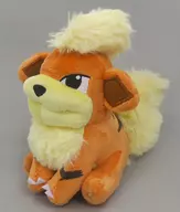 駿河屋 - 【買取】ガーディ Pokemon fit ぬいぐるみ 「ポケットモンスター」 ポケモンセンター限定(ぬいぐるみ)