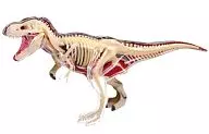 T-REX 解剖モデル 「4DVISION 動物解剖 No.22」 立体パズル 