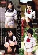 飼われている少女たち