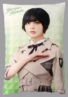 平手友梨奈(欅坂46) ビッグクッション 2019年Loppi・HMV予約限定