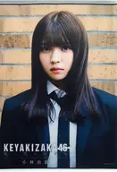 小林由依 B2タペストリー 「欅坂46 5thシングル 風に吹かれても×神の手」