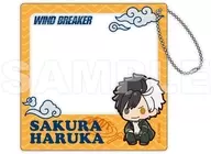 桜遥(ぷちきゅんシリーズ) アクリルカード 「WIND BREAKER」