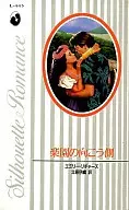 <<ロマンス小説>> 楽園の向こう側