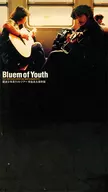 Bluem of Youth/雷波少年系 ブルーム・オブ・ユース「ラストツアー」完全永久保存版