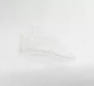 990020229-1000_1