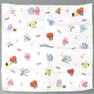 UNIVERSTAR(ちらし) ランチクロス 「BT21」