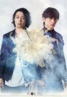 KinKi Kids A4クリアファイルB 「CD 道は手ずから夢の花 初回盤B」 先着購入特典