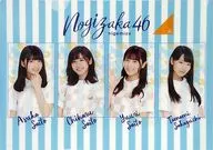 齋藤飛鳥＆斎藤ちはる＆斉藤優里＆阪口珠美(乃木坂46) A4個別クリアファイル 「逃げ水」